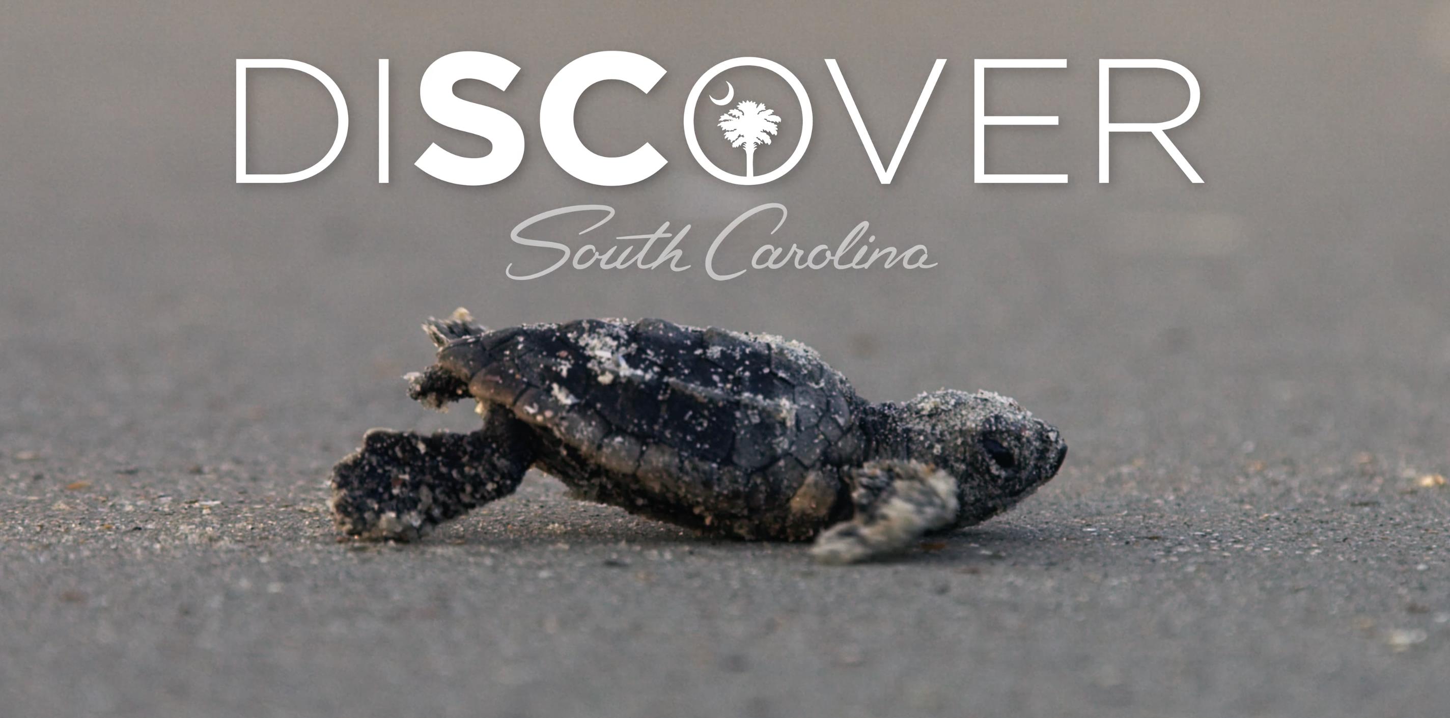 Discover South Carolina
